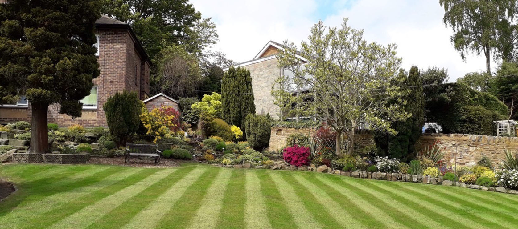 Landscape Gardening Stephenson Trees